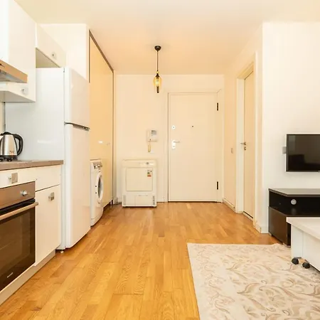 Apartment Cozy And Central Studio Apartment With Shared Pool In Sisli Istanbul